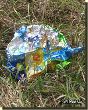 A rumpled, deflated Mylar balloon resting on the grass.