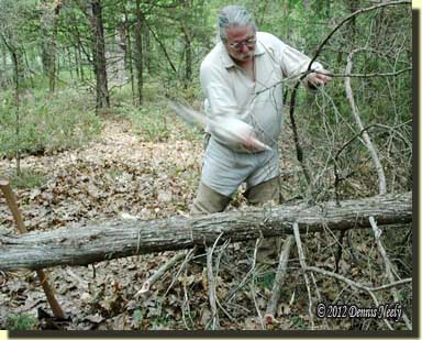 Cutting limbs from a cedar tree with a tomahawk.