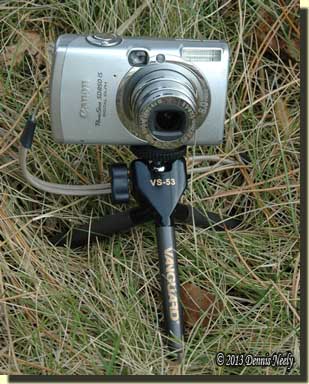 A Cannon digital camera attached to a table-top tripod.