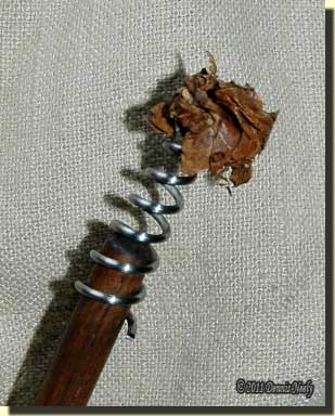 An oak leaf wad caught on the gun worm's spirals.