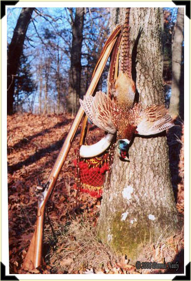 A ring-necked pheasant and a Northwest trade gun.