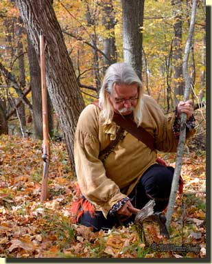 A traditional woodsman cutting a cherry sapling with an ax.