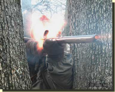 A Northwest gun firing from behind a forked oak tree.