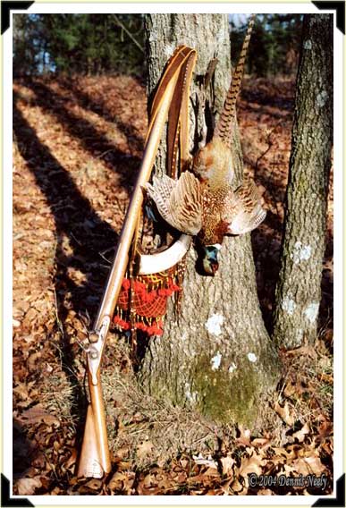 A ring-necked pheasant, Northwest trade gun, shot bag and horn.
