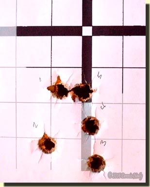 The sighting target with the first five shots.
