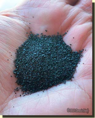 A pile of 3Fg Goex black powder in the palm of a hand.
